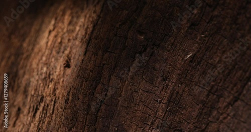 Close-Up of a Dark Weathered Wooden Surface with Deep Cracks