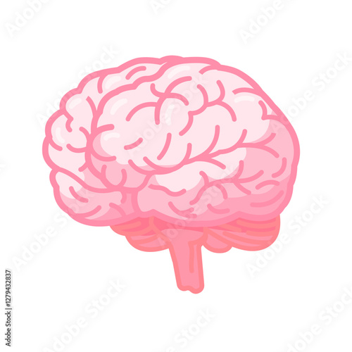 Illustration of a Human Brain in Pink Color with Side View Depiction