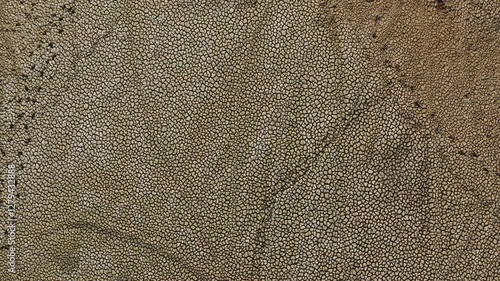 Wallpaper Mural Time-lapse of the land drying out and water shortage Torontodigital.ca