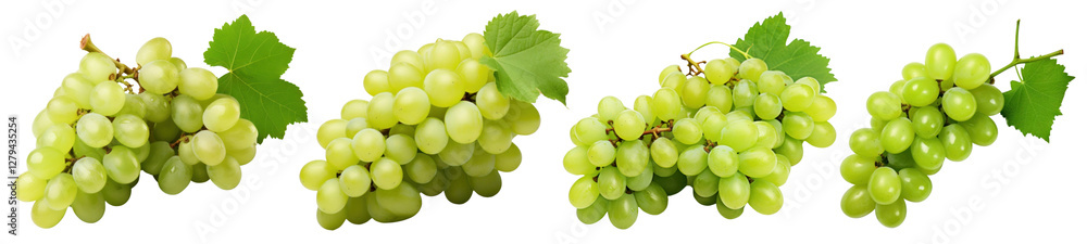 PNG Fresh green grapes bunches isolated, element set on transparent background PNG Fresh green grapes bunches isolated, element set on transparent background