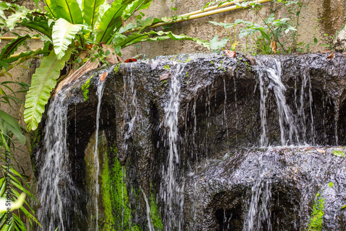 Fototapeta Naklejka Na Ścianę i Meble -  Artificial cascading waterfall in a tropical garden among flowers and plants