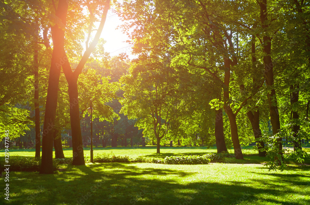 Summer landscape with colorful summer city park and deciduous green trees in sunny weather Summer landscape with colorful summer city park and deciduous green trees in sunny weather