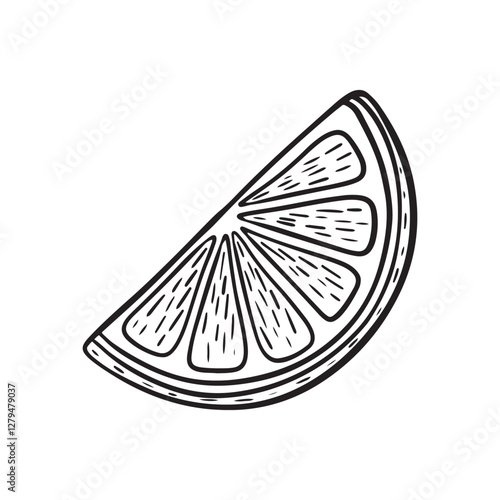 Hand-drawn fresh orange engravings. Organic food engraved in vintage style. Line art orange slice. Black and white citrus fruit design.