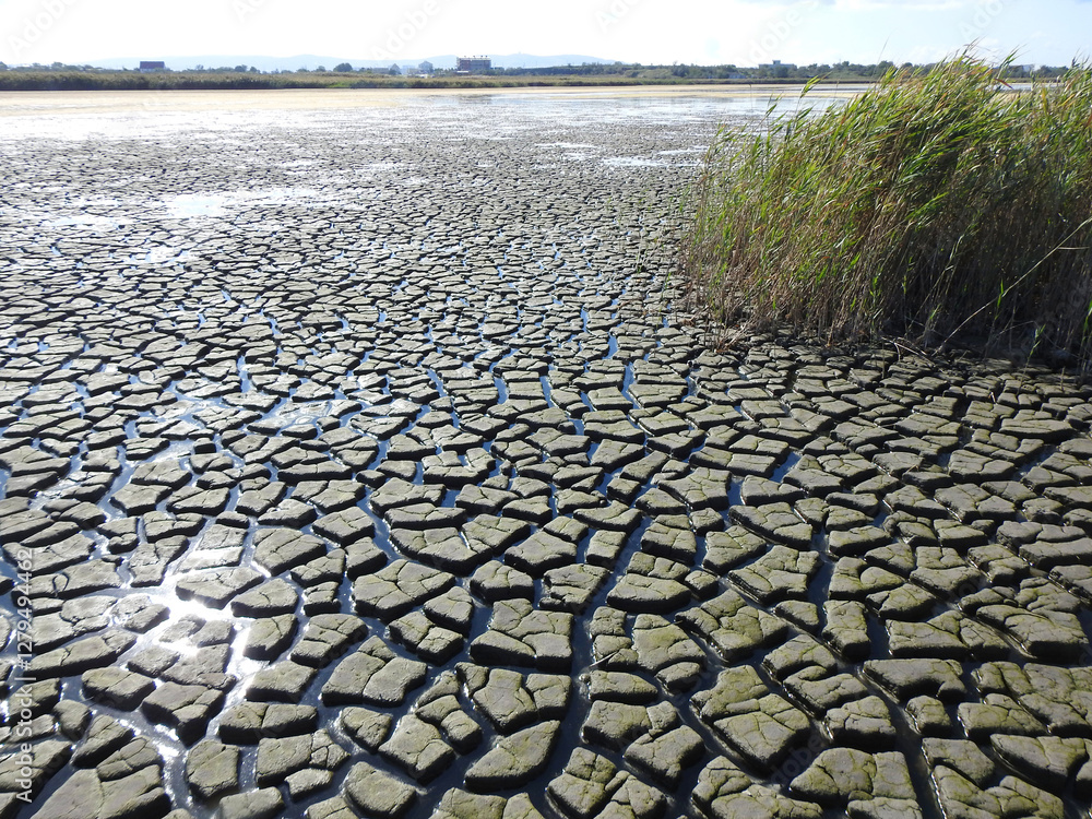 dry lake. Ecological catastrophy.