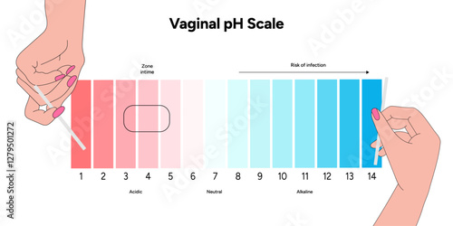 Women female vaginal ph scale balance with instruction. Intimacy Acidic, neutral and alkaline scale ph levels with hand illustration 