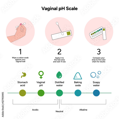 Women female vaginal ph scale balance with instruction. Intimacy Acidic, neutral and alkaline scale ph levels