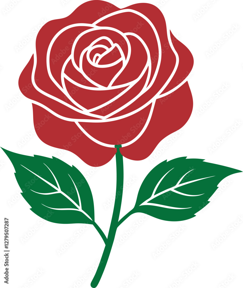 red rose isolated on white background red rose isolated on white background