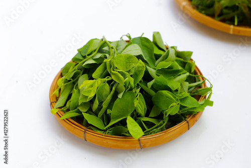 Green leaves of sauropus androgynus photo