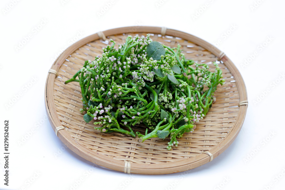 Fresh Flower of Ceylon Spinach or, Malabar Nightshade Fresh Flower of Ceylon Spinach or, Malabar Nightshade