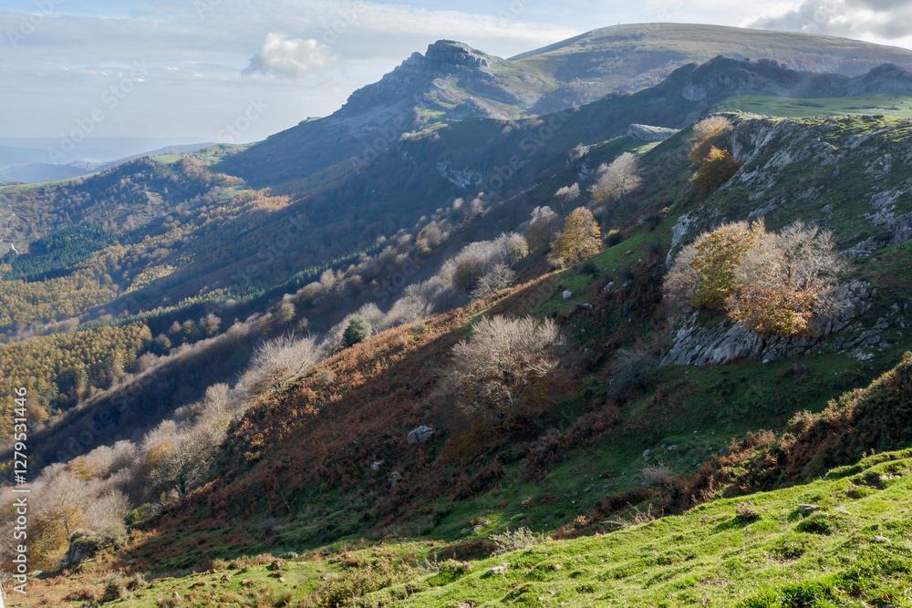 Naklejka premium Beautiful landscape of the Gorbea natural Park on a sunny autumn day