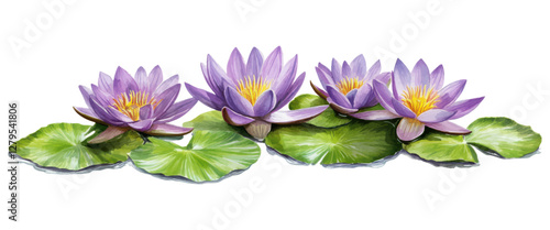 Realistic watercolor illustration of vibrant purple water lilies with lush green lily pads on a white background