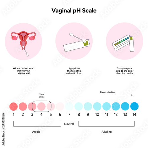 Women female vaginal ph scale balance with instruction. Intimacy Acidic, neutral and alkaline scale ph levels