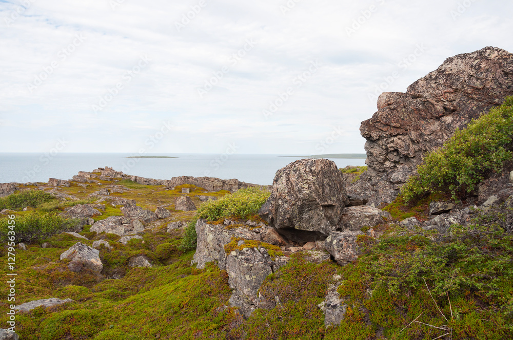 Arctic landscape, large stones on the shore of the Barents Sea. Rybachy peninsula, Murmansk region, Russia Arctic landscape, large stones on the shore of the Barents Sea. Rybachy peninsula, Murmansk region, Russia