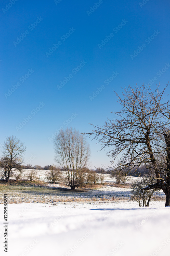 Winter nature in the village. Snow-covered nature. Blue Winter Sky Winter nature in the village. Snow-covered nature. Blue Winter Sky