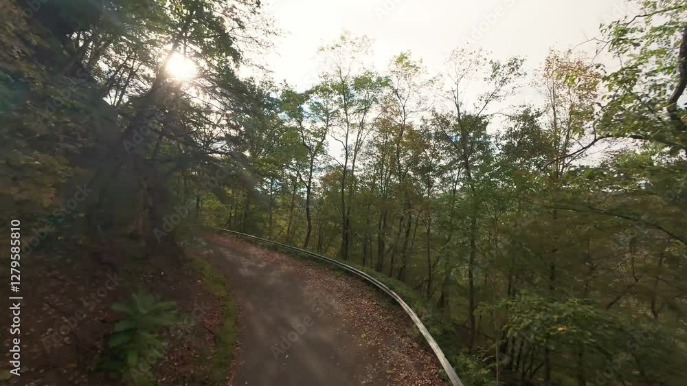 Serene Forest Road Captured by Drone view of peaceful winding road through dense forest, surrounded by lush greenery and natural beauty on tranquil day forest winding road drone view Serene Forest Road Captured by Drone view of peaceful winding road through dense forest, surrounded by lush greenery and natural beauty on tranquil day forest winding road drone view