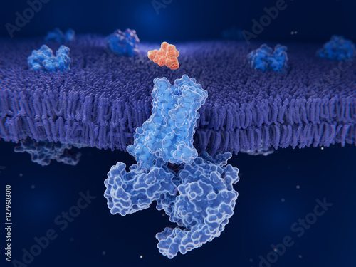 Oxycodone (Oxycontin) about to bind to an opioid receptor photo