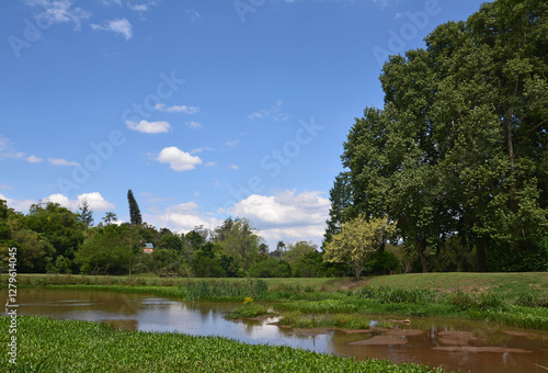 Botanischer Garten in Pietermaritzburg, Südafrika