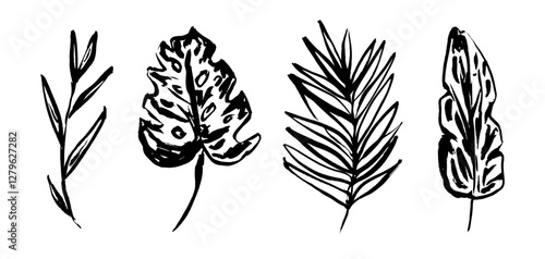 Set of grunge textured vector black ink hand dawning tropical leaves, fern, monstera leaf. Artistic paintbrush botanical elements for textile pattern design, greeting card, logo