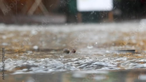 Wallpaper Mural Heavy rain causes flooding on city streets Torontodigital.ca