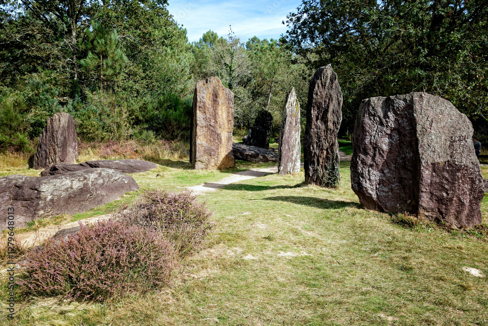 The menhirs of Monteneuf / Brocéliande archaeosite), Morbihan, Brittany, France. The menhirs of Monteneuf / Brocéliande archaeosite), Morbihan, Brittany, France.