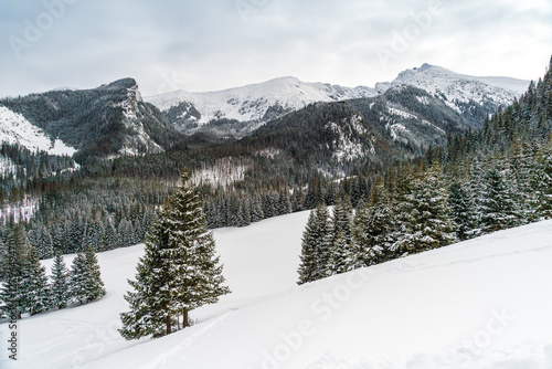 Fototapeta Naklejka Na Ścianę i Meble -  Tatra Mountains, Poland. View of Giewont. Panorama of a mountain landscape. Winter in the mountains