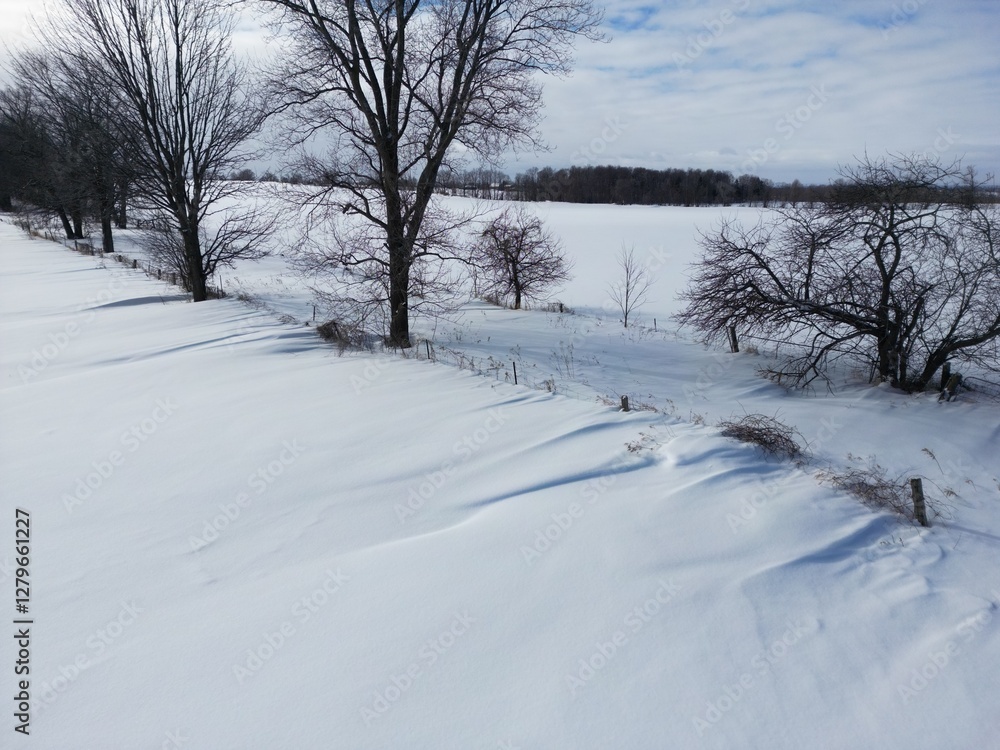 Fototapeta premium Aerial view of snowdrifts along a road in a snowy countryside - Vue aérienne de congères le long d'un chemin dans une campagne enneigée 