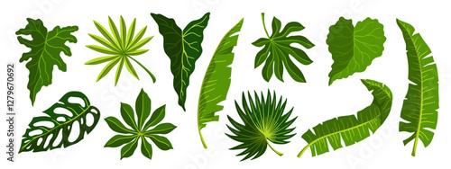 Collection of green tropical leaves. Botanical elements for seasonal summer decor. Vector graphics.