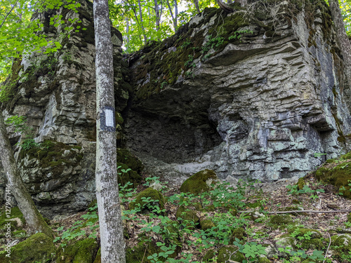 Fotografie Rock strata and a cave in the forest on the Bruce Trail