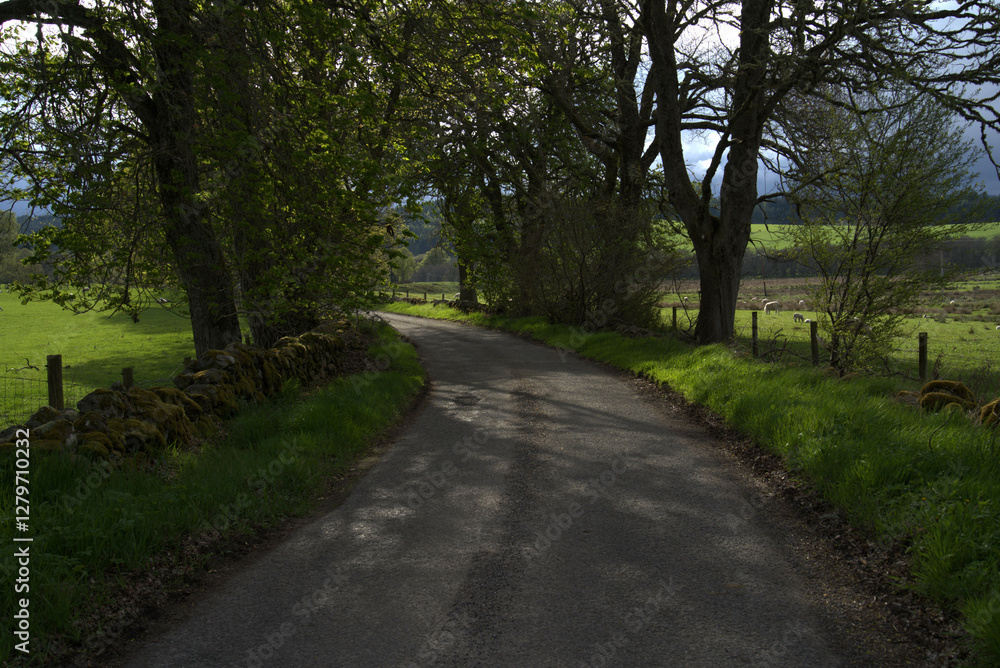 Fototapeta premium Fading light on a rural road