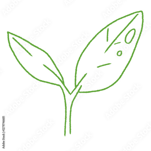 cute green tea leaves doodle hand drawn line art illustration