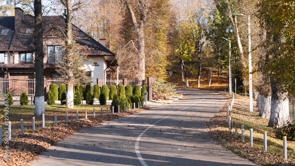 Autumn road background abstract in the countryside Autumn road background abstract in the countryside