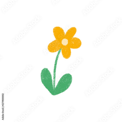 yellow flower on white background