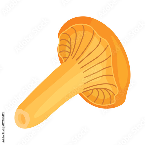 Chanterelle mushrooms 003