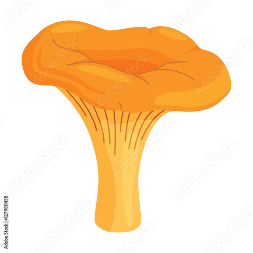 Chanterelle mushrooms 005