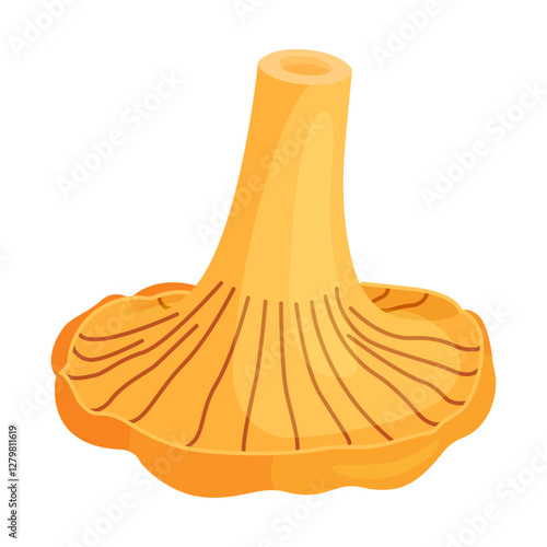 Chanterelle mushrooms 012