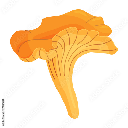 Chanterelle mushrooms 014