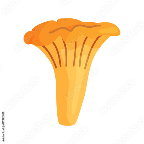 Chanterelle mushrooms 021