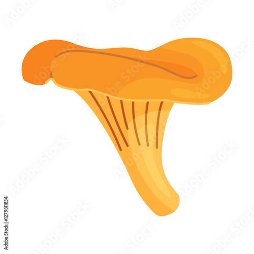 Chanterelle mushrooms 022