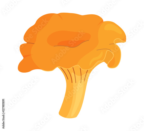 Chanterelle mushrooms 023