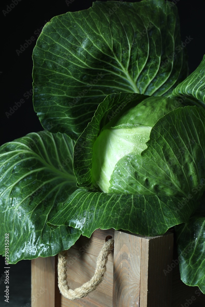 Fototapeta premium Whole ripe head of cabbage in wooden crate on dark background, closeup