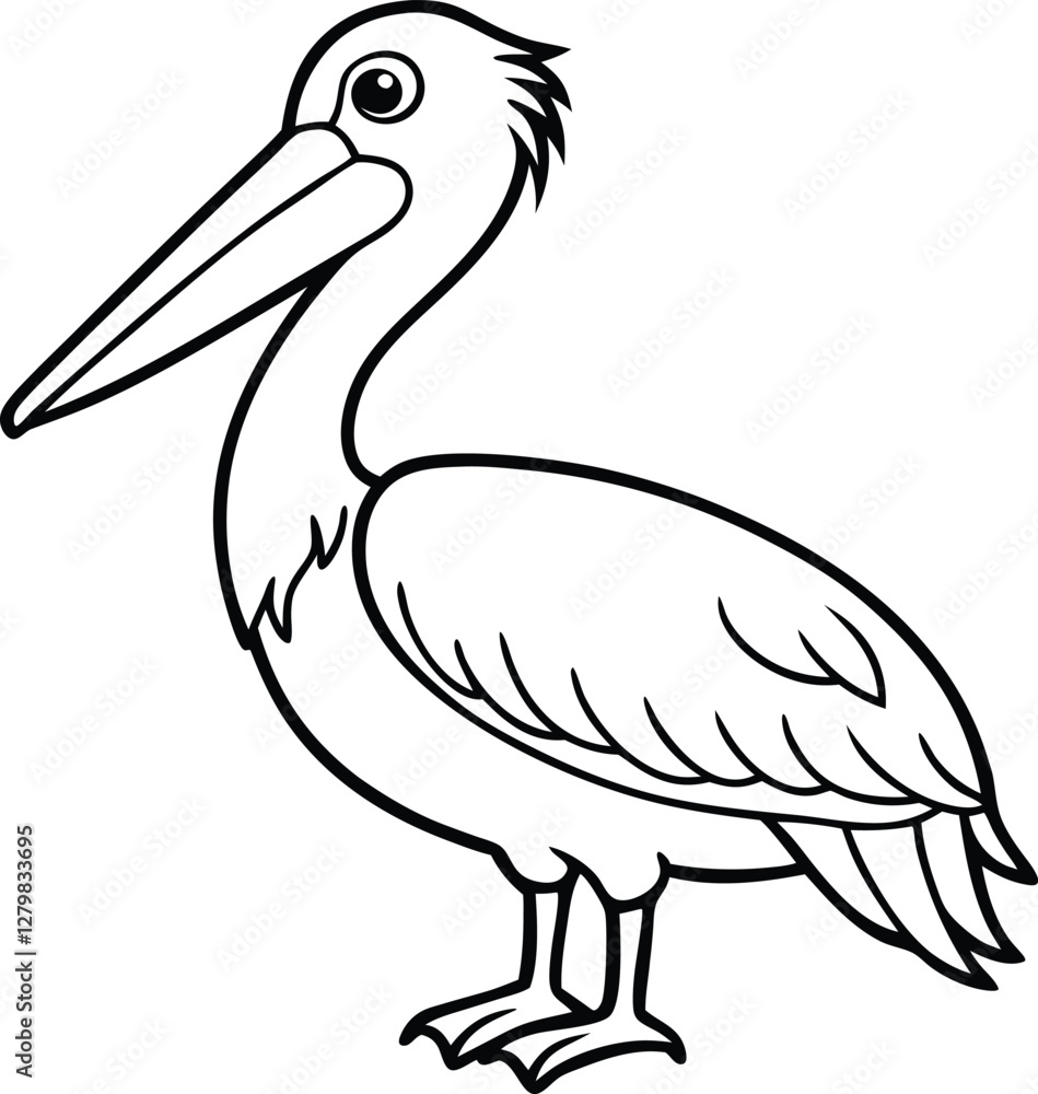 Dalmatian Pelican Pelecanus crispus in front of a white background vector art illustration Dalmatian Pelican Pelecanus crispus in front of a white background vector art illustration