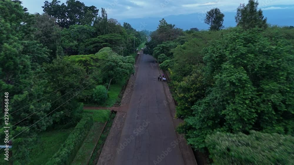 Quiet rural road surrounded by lush greenery Quiet rural road surrounded by lush greenery