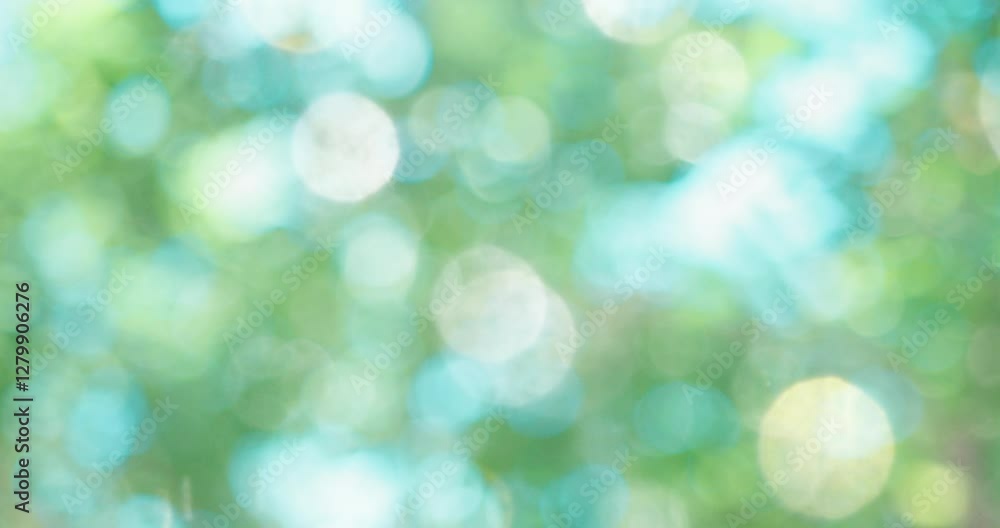 春・夏　キラキラ光り輝く　さわやかな森の木の葉新緑の光の丸ボケ　自然の背景　アウトドア・太陽の日差し