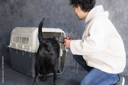 Photography Large dogs being crate trained