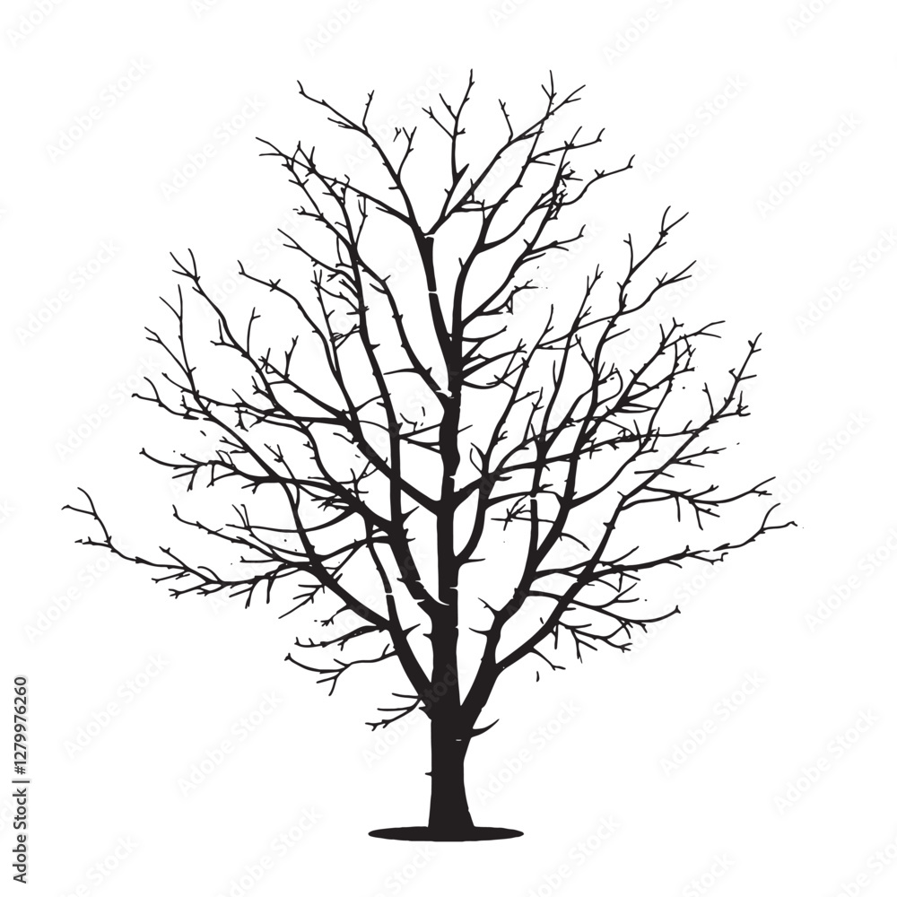 Fototapeta premium Isolated Birch Tree Graphic in Black and White