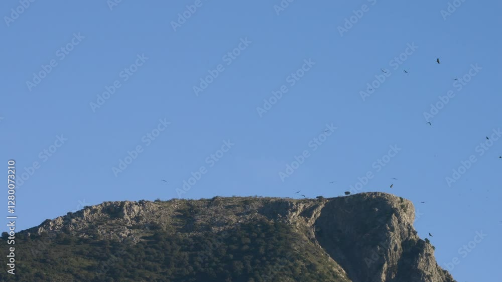 Rocky mountain and flock birds above, distance view Rocky mountain and flock birds above, distance view