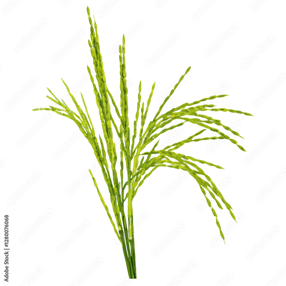 Fototapeta premium Food cereal crop yellow summer vector illustration