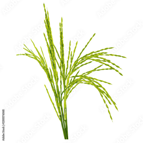 Food cereal crop yellow summer vector  illustration