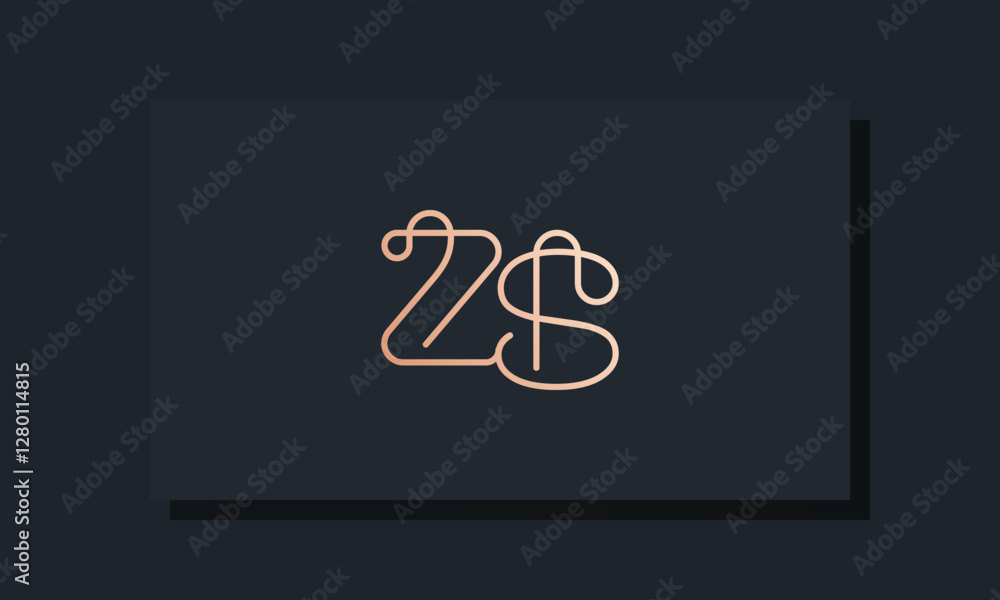 Minimal clip initial letter ZS logo. Minimal clip initial letter ZS logo.