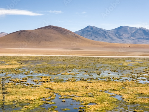 Atacama desert in Chile